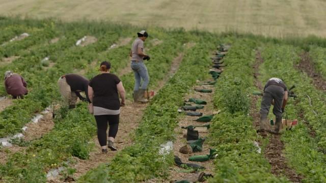 La vie agricole aujourd'hui