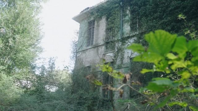 UNE CAMÉRA DANS UN ASILE ABANDONNÉ (PENDANT 30 JOURS)