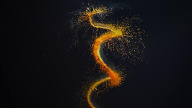 Planet III Ocean