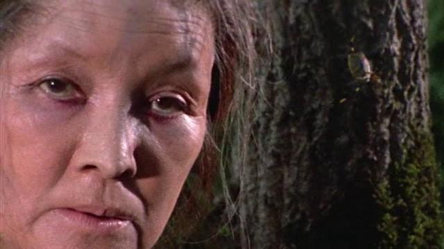 The Spider Woman Crawls Through the Mire