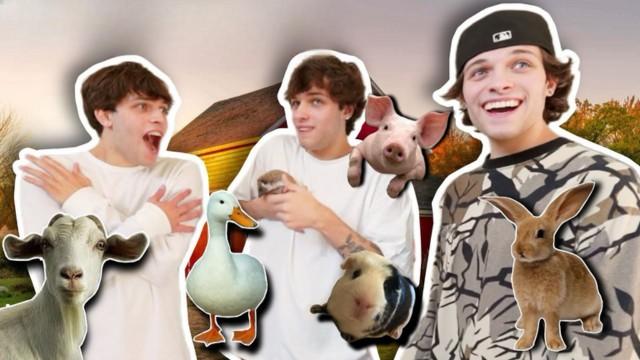 WE TURNED OUR HOUSE INTO A BARN (and shocked nick)