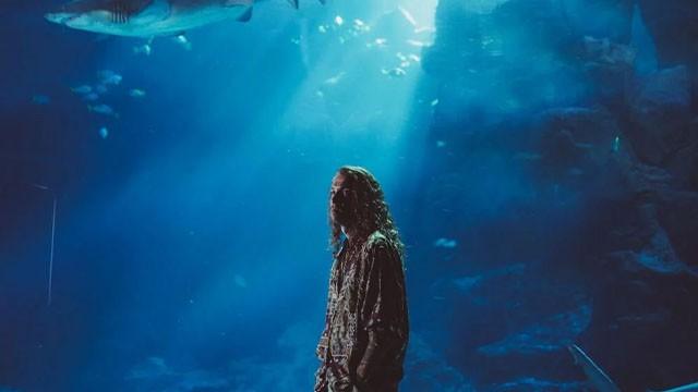 The song of the sirens