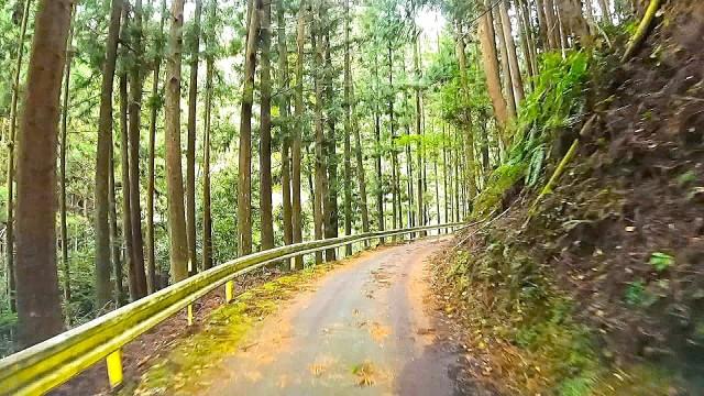 紀伊山地 この道をゆけば