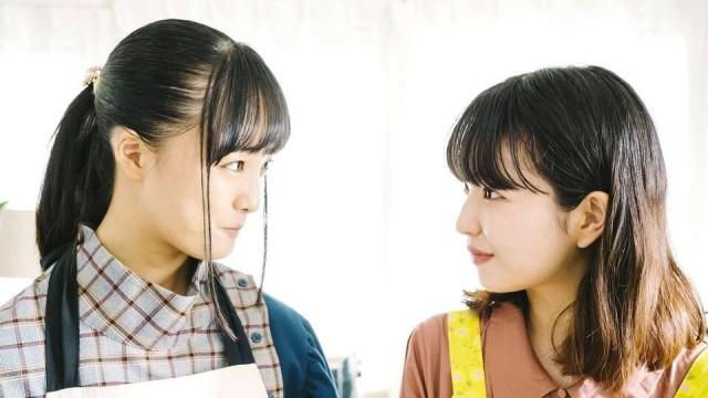 Jansson’s Temptation & Stuffed Cabbage Rolls