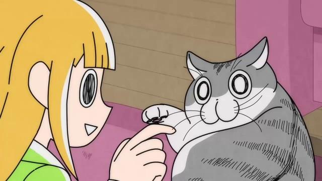 Night 67: A Cat Detecting Your Presence