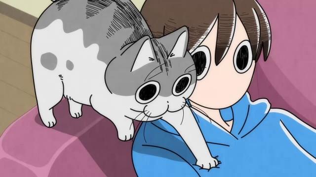 Night 68: A Cat Who Takes the Time to Stretch