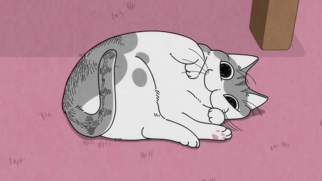 Night 69: Responding by Tail