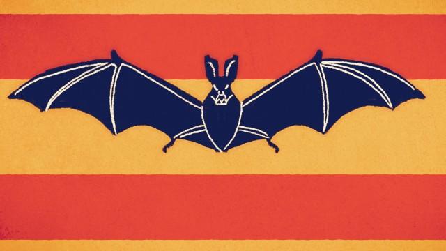 Die Fledermaus