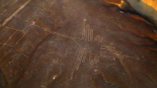 ナスカの地上絵 知られざる全貌