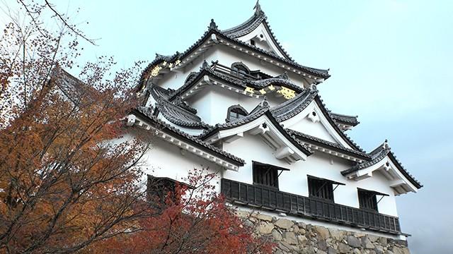 世界遺産目前！ 国宝「彦根城」の美×市川紗椰