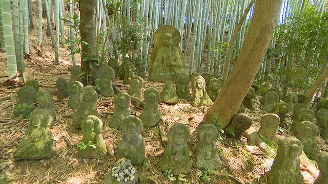 新発見！伊藤若冲「果蔬図巻」×渡辺いっけい