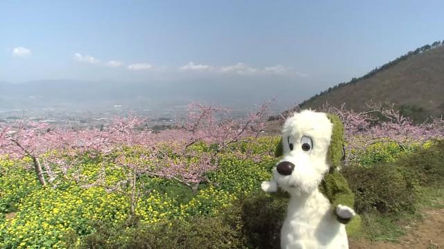 木曜日
