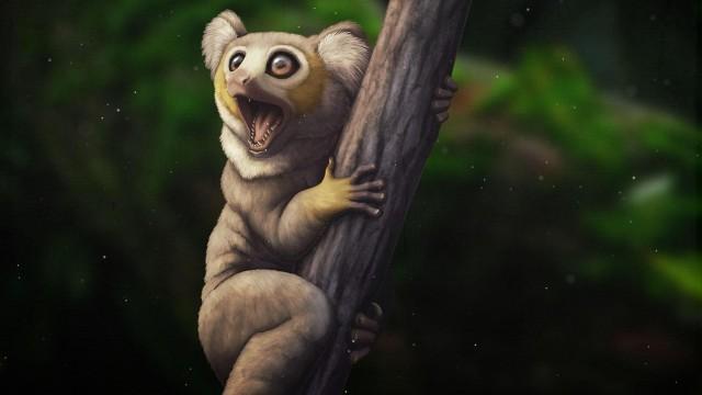 The Strange Primates That Thrived In The Mountains