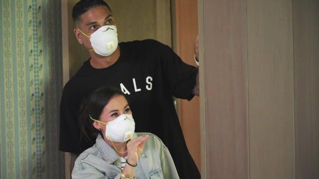 Mold in Manoa