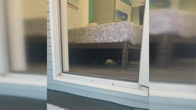 Neighbor Under My Bed