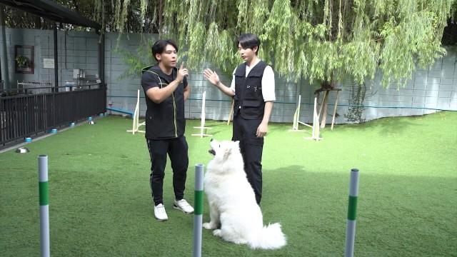 EP.8 | ฝึกสุนัข กับ "Book bok Tor"