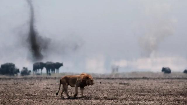 Katavi: Africa's Fallen Paradise, Purgatory
