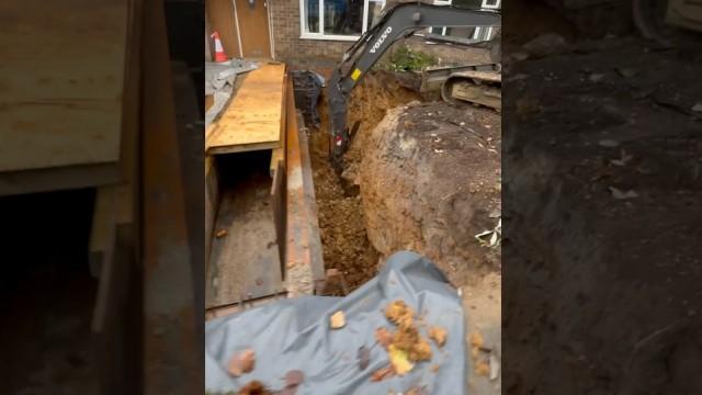 What if slugs get in your house??