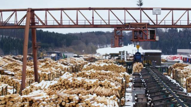 Fertighäuser – Vom Baum zum Eigenheim