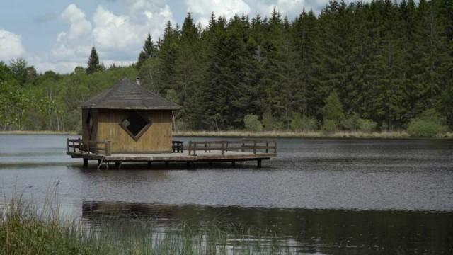 Walden o la vida en los bosques: La obra de Henry David Thoreau