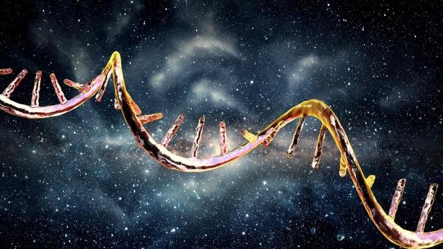 Your DNA Is (Almost Certainly) From Outer Space
