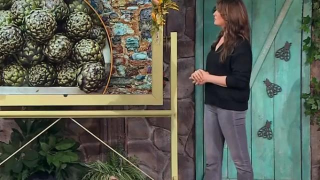 Puntata del 21/03/2025