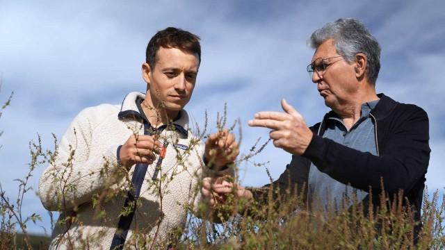 Pollen : bientôt tous allergiques ?