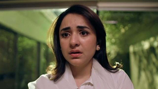 Episode 24