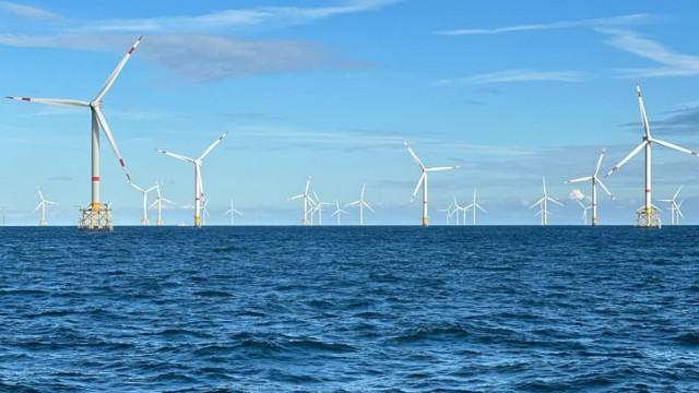 Turbinas eólicas marinas - ¿Pueden coexistir con la naturaleza?