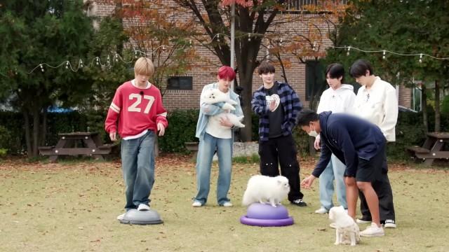 EP.149 [Teacher & DOG, Part 1]
