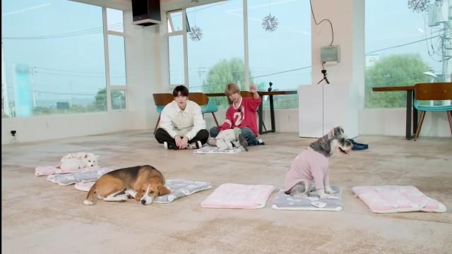 EP.150 [Teacher & DOG, Part 2]