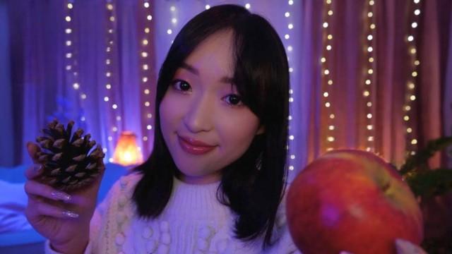ASMR ✨ 12 triggers pour vous aider à dormir ce soir (1 objet une devinette)