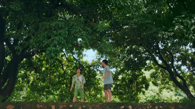 Wild Fun by the Pool