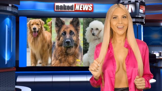 Tuesday March 25, 2025: Sarah Harlow In News off the Top