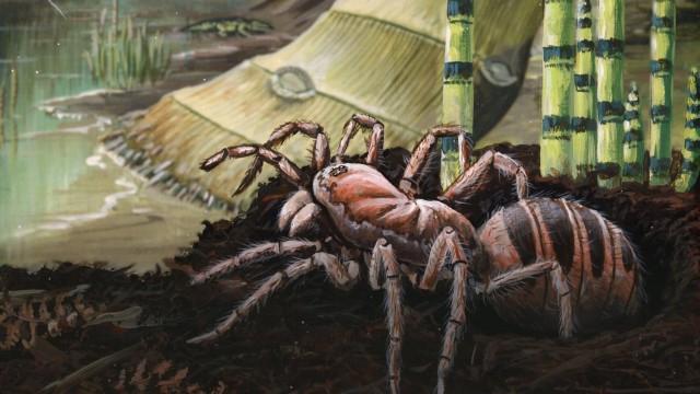 The Arms Race That Made Insects Take Flight