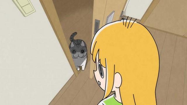 Night 80: A Cat Who Wants the Door Open