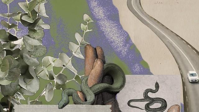 snake venom