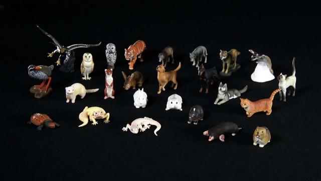Capsule Figures