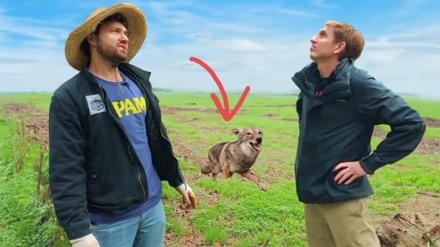 farmers vs wild animals