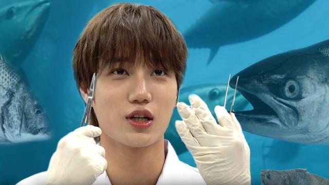 Nation’s first variety show to fish dissection