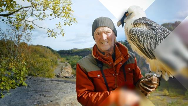 Kielings wilde Welt - Vogelparadiese