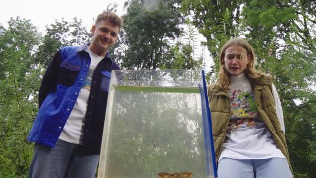 De geelgerande waterroofkever