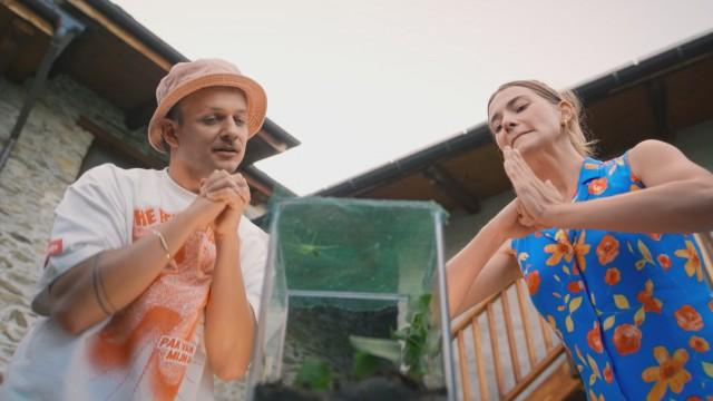 De bidsprinkhaan