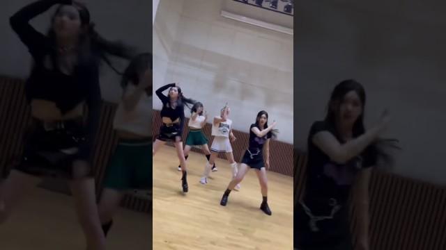 #Rose처럼 화사한 #미미로즈 #최연재 #윤지아 님과 함께한 #Big_wave_Challenge #Shorts