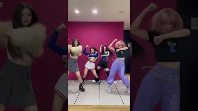#라필루스 #샨티 #하은 님과 강렬하게 #Big_wave_Challenge #Shorts
