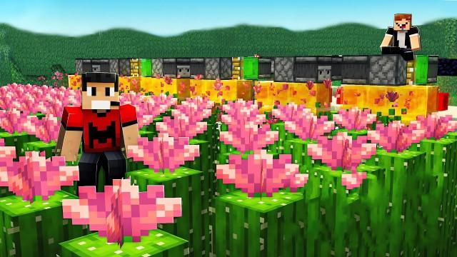 Cactus Flower Farm