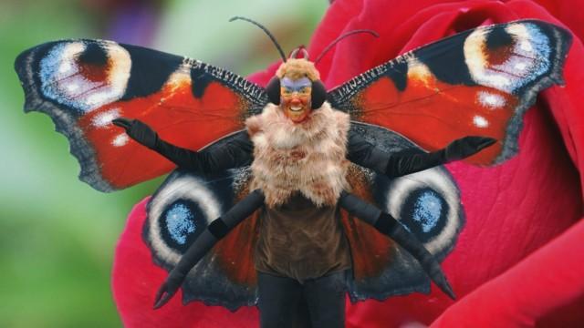 A Meteor for the Dinosaurs, Binary Bangers and Perilous Plants