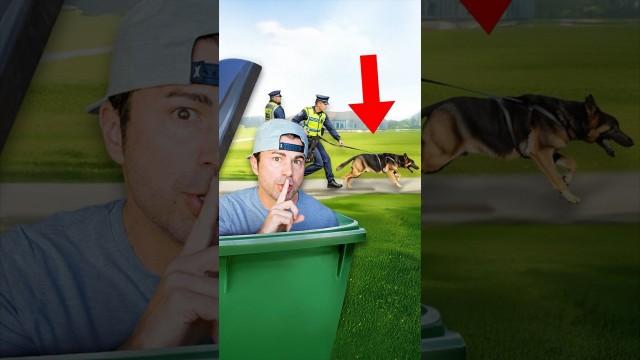 How to Escape a Police Sniffing Dog