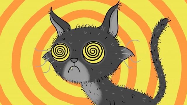 Hypnocat