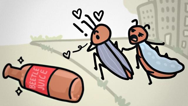 When Evolution Glitches Out